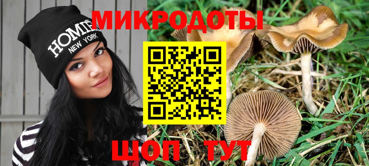 Галлюциногенные грибы мицелий Вязники