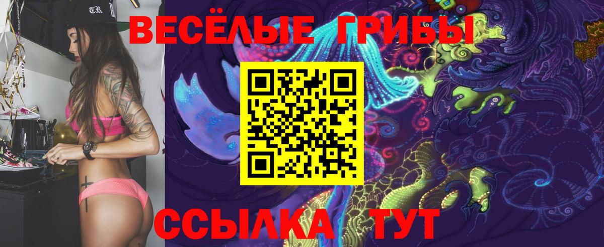 Галлюциногенные грибы Cubensis  Вход с VPN  Галлюциногенные грибы Cubensis  где продают наркотики  Вязники 